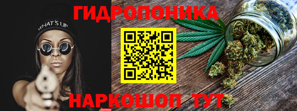 Лиски  Конопля марихуана  Конопля гибрид  Вход с VPN  Канабис сатива 
